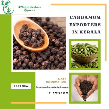 Cardamom Exporters In Idukki | Cardamom Suppliers In Idukki