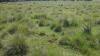 8000 Acres for Sale at Sugurui Segera Mutara neighbouring ADC in Laikipia KENYA