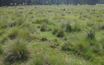 8000 Acres for Sale at Sugurui Segera Mutara neighbouring ADC in Laikipia KENYA