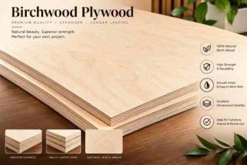Premium Birchwood Plywood by Wigwam — 100% Hardwood & Hollow-Free Core