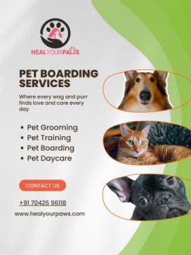 Pet boarding service in New Delhi