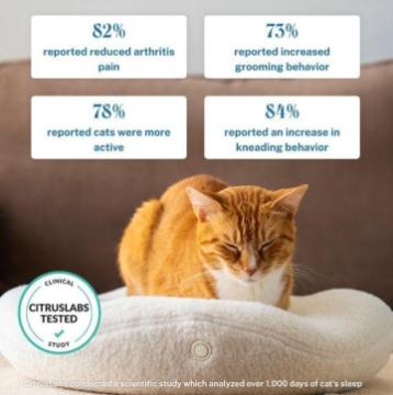 kneadcats.com 10$ off on all heated cat beds
