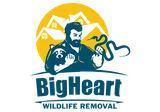 BigHeart Wildlife Removal