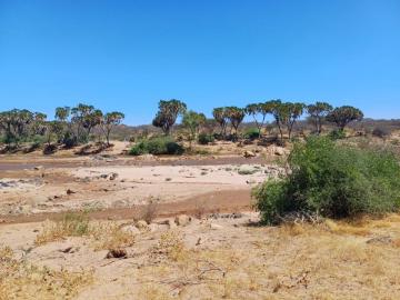 100,000 Acres of freehold titled land for Sale in Samburu Kenya Ksh. 200K/Acre