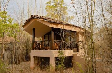Book /Monsoon /Forest /Bandhavgarh | Best Hotel in Bandhavgarh - Asia - Hotels & Resorts.