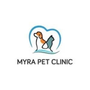 Dog Teeth Cleaning Cost India and Pet Dental Scaling | Myra Pet Clinic
