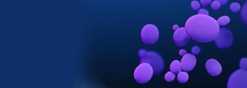 Reliable PCR Solutions for Laboratory Testing