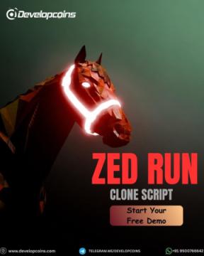 Looking for the Best ZED RUN Clone Solution Provider?