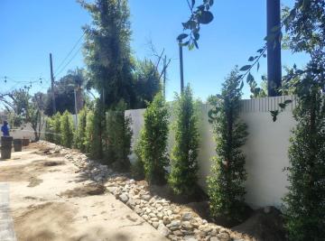 Wolf Hardscaping Designs