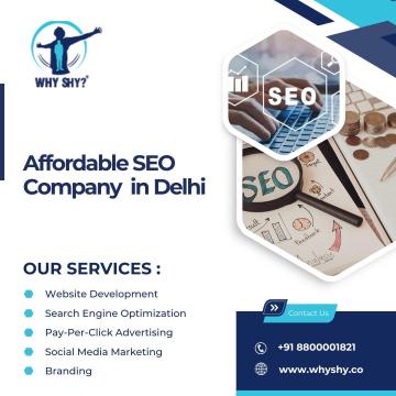 Affordable SEO Company in Delhi for Better Rankings – Why Shy