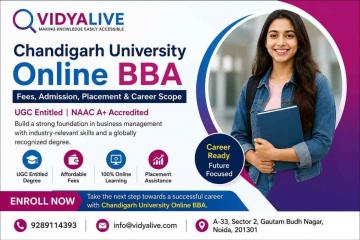 Chandigarh University Online BBA: Complete Course Overview