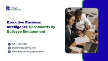 Executive Business Intelligence Dashboards by Bullseye Engagement