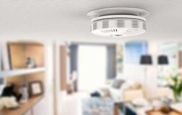 Termite Inspection Manhattan Beach, CA