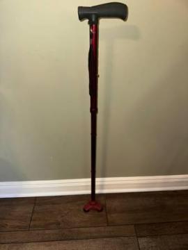 Cane