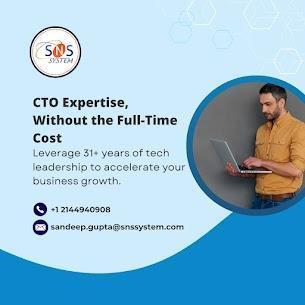 Empower Your Business with CTO Services | SNS System