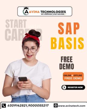 SAP SD Offline Training in Hyderabad – Build a Successful Career with Avina Technologies