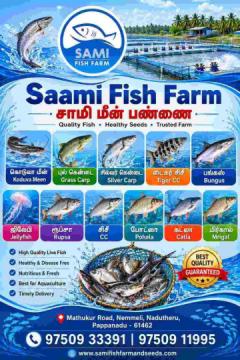 Are You Looking For Your Fish Farming Partner in Thanjavur