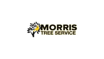 Pinellas County Tree Removal