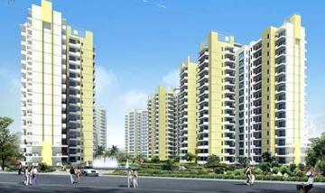 What should buyers verify before purchasing?