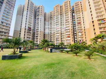Are you looking for apartments to rent in Noida Extension?