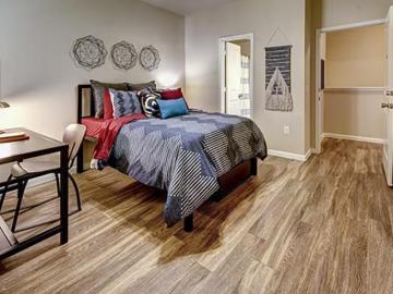 Your Ideal Student Accommodation Is Waiting in College Station