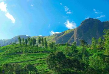 5 Nights, 6 Days, Best Kerala Tour Packages for a Perfect Vacation