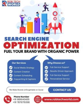 Best SEO Company in chandigarh to Improve Your Online Presence