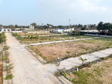 Cape by Baky – A Lifestyle Beyond Luxury