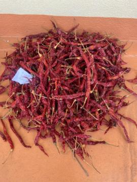 Sunanda Foods & Spices - Premium Spices Manufacturer & Suppliers