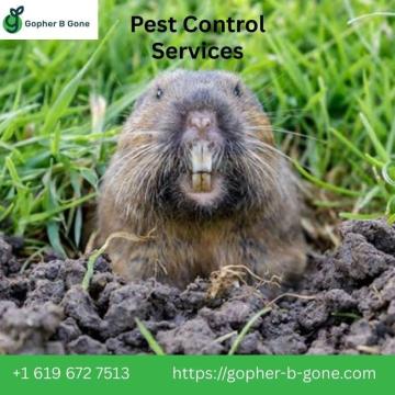 San Diego Gopher & Rodent Control – Trusted Since 1991