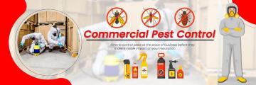 Top Service Bed Bugs Control Service Near Me
