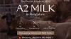 Best a2 cow milk in bangalore near me