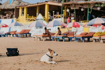 Best Goa Honeymoon Tours That Stayed on My Shortlist