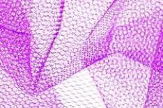 Nylon Net Manufacturers