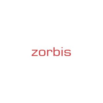 Custom Enterprise Application Development Services – Zorbis