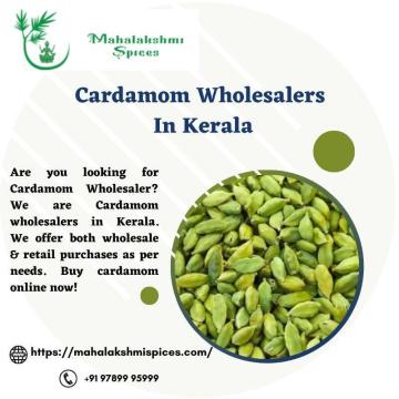 Cardamom Wholesalers In Idukki | Cardamom Wholesalers In Kerala