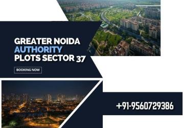 Premium Living at Sector 37, Greater Noida | Exclusive Authority Plots