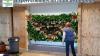 Expert Commercial Plant Installation & Gardening Supplies in New Jersey