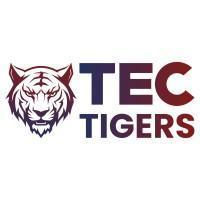 Secure Your IT Infrastructure with Tectigers VAPT Services