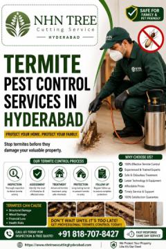Termite Pest Control Services in Hyderabad – NHN Trees Cutting Hyderabad