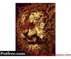 REJUVINATE YOUR LOVE LIFE AND FORTUNES