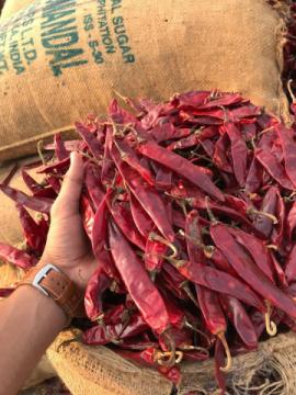 Sunanda Foods & Spices - Premium Spices Manufacturer & Suppliers