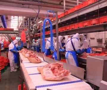 Premium Pork Exporter & Supplier in Spain | Litera Meat
