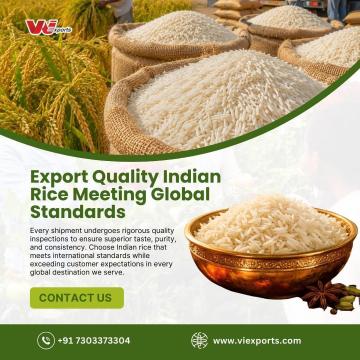 Rice Exporters In Delhi