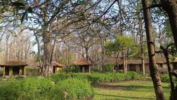 Safari Stay Near Bijrani Zone | Bijrani Jungle Cottages