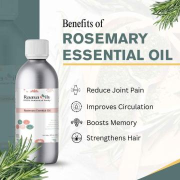 Rosemary Essential Oil – Boost Focus, Hair Growth & Natural Wellness | Raasa Oils