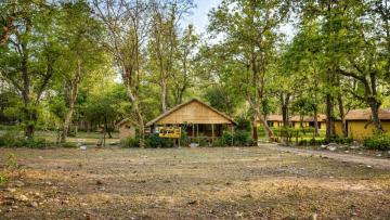 Book Bijrani Jungle Cottages for a True Forest Experience