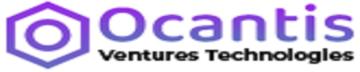 Digital Marketing Company in Chandigarh – Octantis IT Services
