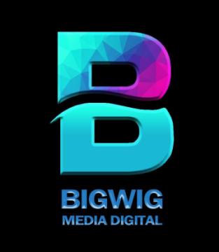 professional Website Development Company in Delhi