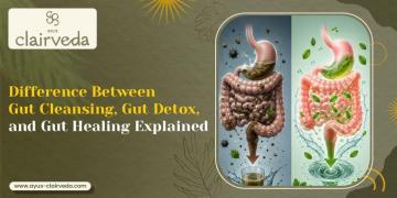 Panchakarma for gut health in Vadodara | ayus-clairveda